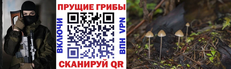 blacksprut tor Болгар Галлюциногенные грибы прущие грибы